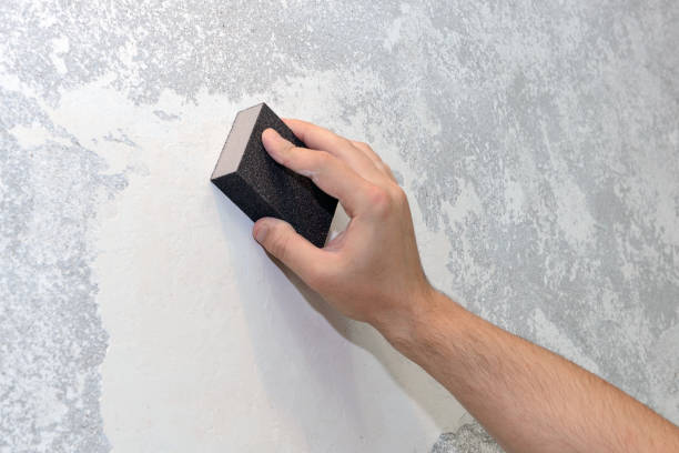 Best Biohazard Mold Removal  in Dunn Loring, VA