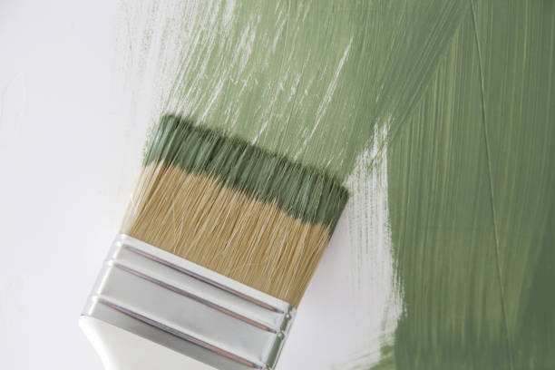 Best Basement Mold Removal  in Dunn Loring, VA